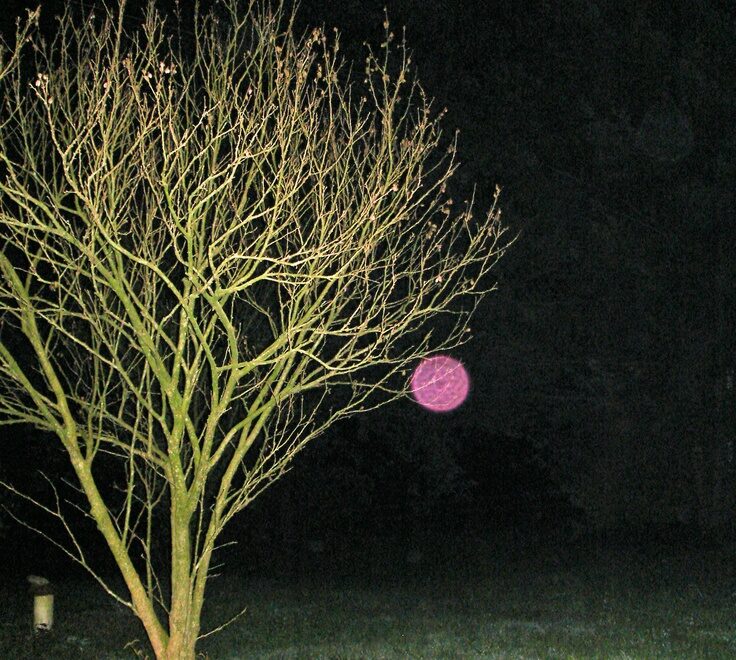 pink orb meaning
