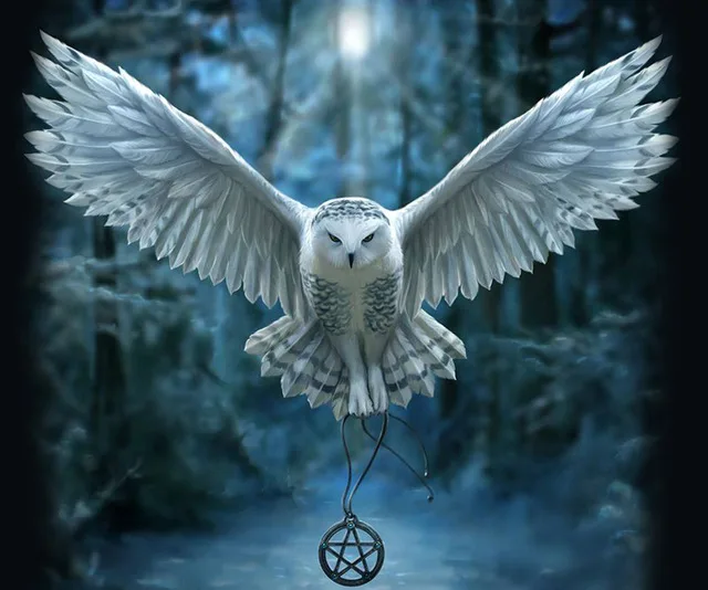 White Owl Meaning