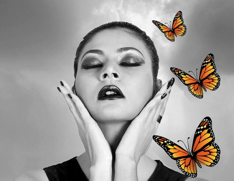 Monarch Butterfly Dream Meaning – Transformation And Change