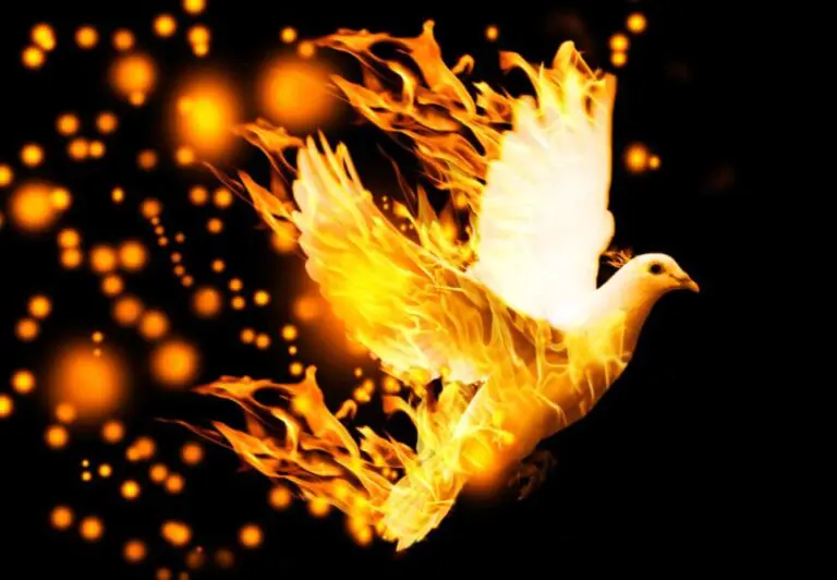 Burning Dove Spiritual Meaning