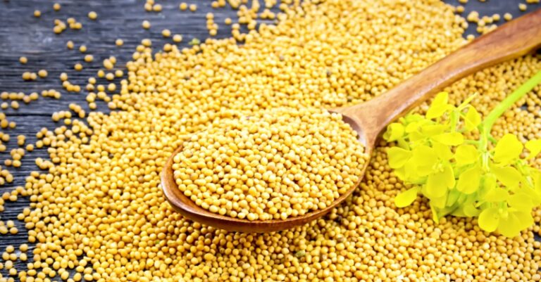 Mustard Seed Spiritual Meaning