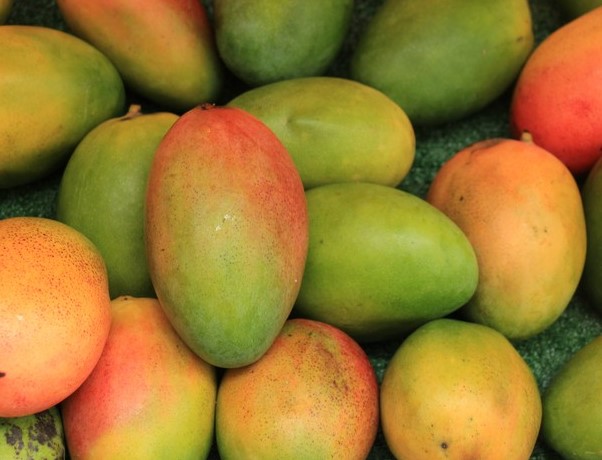 Spiritual Meaning Of Mango In A Dream