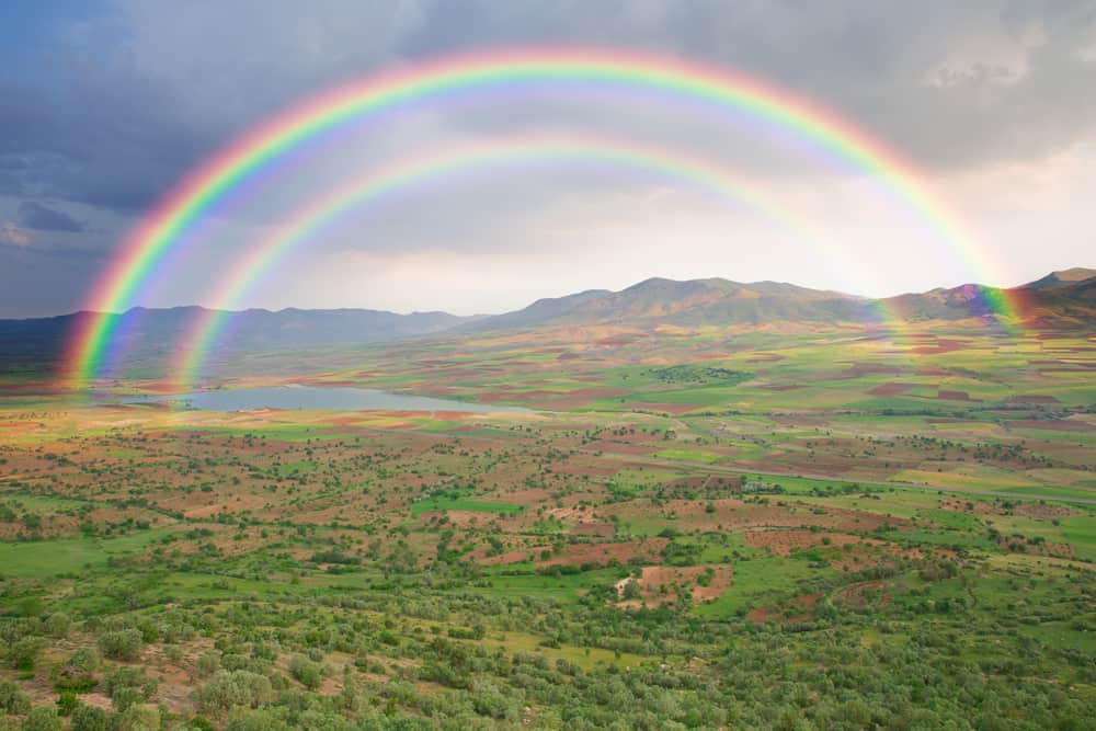 Double Rainbow