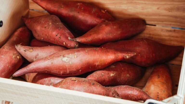 Dreaming About Sweet Potatoes: Exploring the Many Benefits