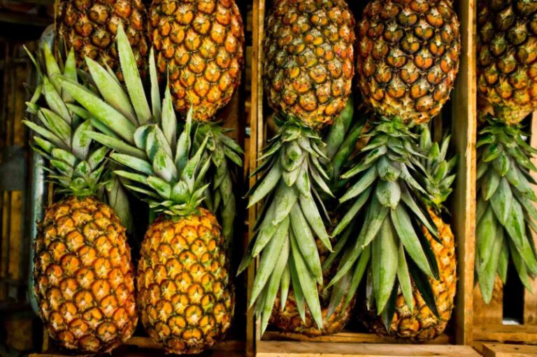 Pineapple Spiritual Meaning – Symbol of Hospitality And Luxury