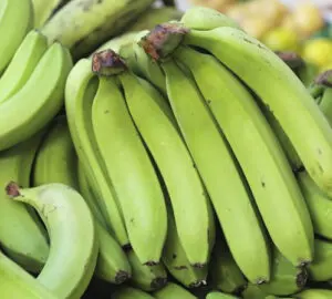 Green Banana