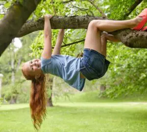 Climbing a Tree