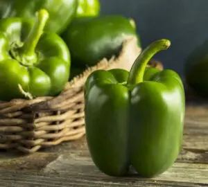 Green Pepper