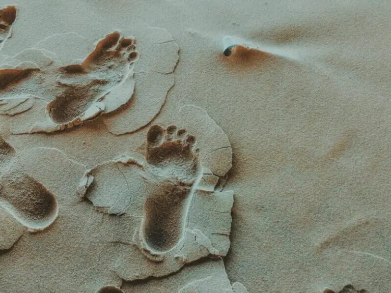 Footprints