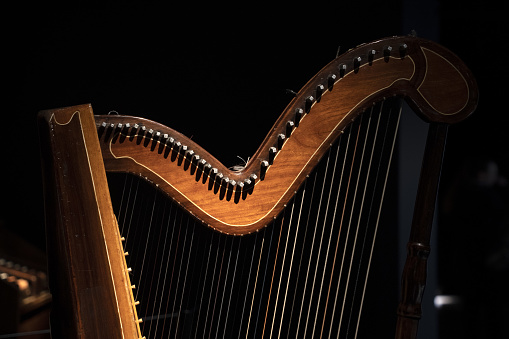 Harp