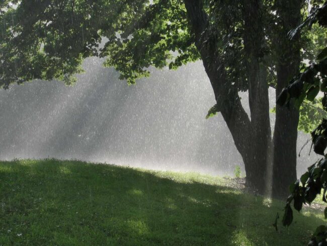 Spiritual Meaning of a Sunshower: The Enigmatic Beauty